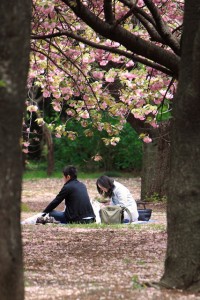 'Couple' Image By Mr. Hayata