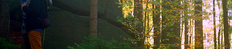 Romance. Image Credit: Toffee Makey